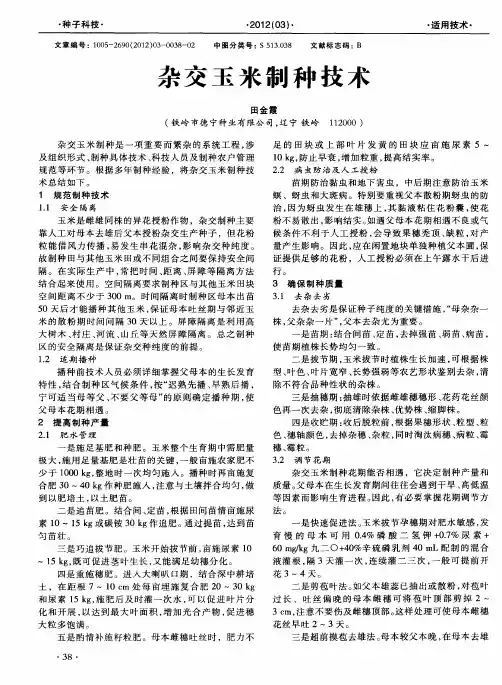 杂交玉米制种技术