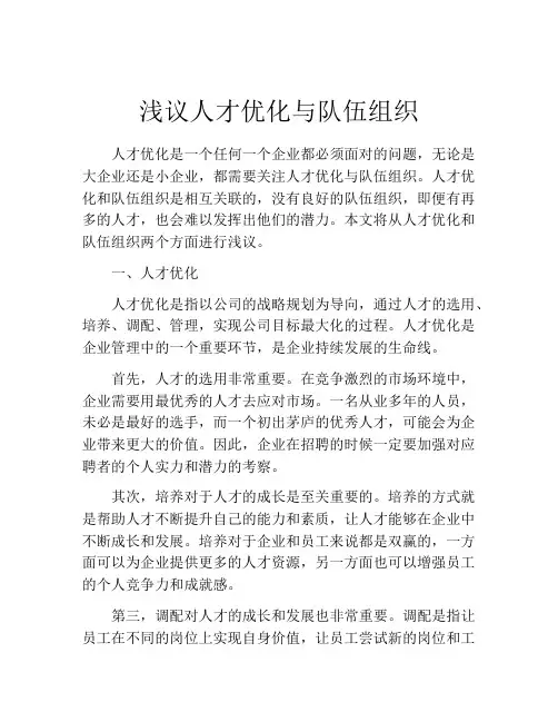 浅议人才优化与队伍组织