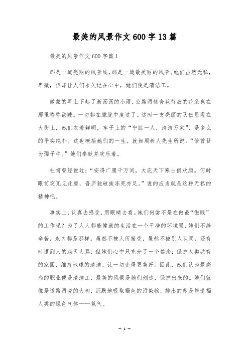 最美的风景作文600字13篇