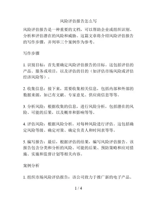 风险评估报告怎么写