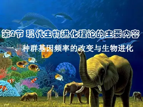 高中生物 人教版 必修2 第7章 现代生物进化理论 公开课7.2现代生物进化的主要内容课件(15张ppt)