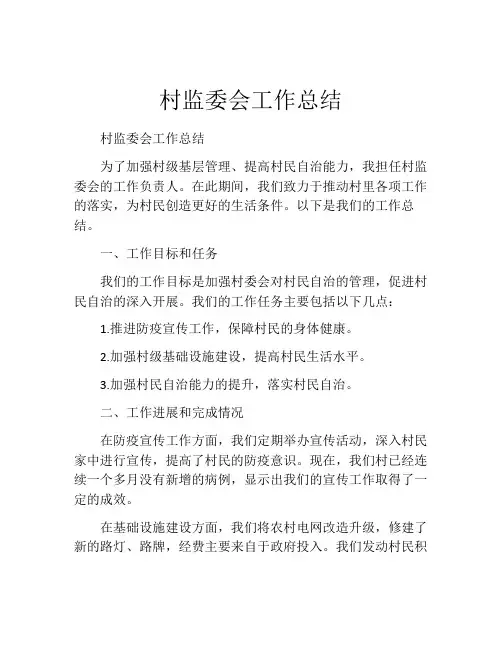 村监委会工作总结