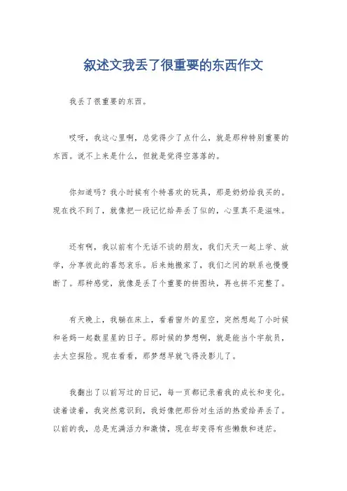 叙述文我丢了很重要的东西作文