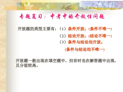 中考数学中的开放性问题(PPT)3-2