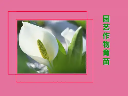 园艺作物育苗ppt课件