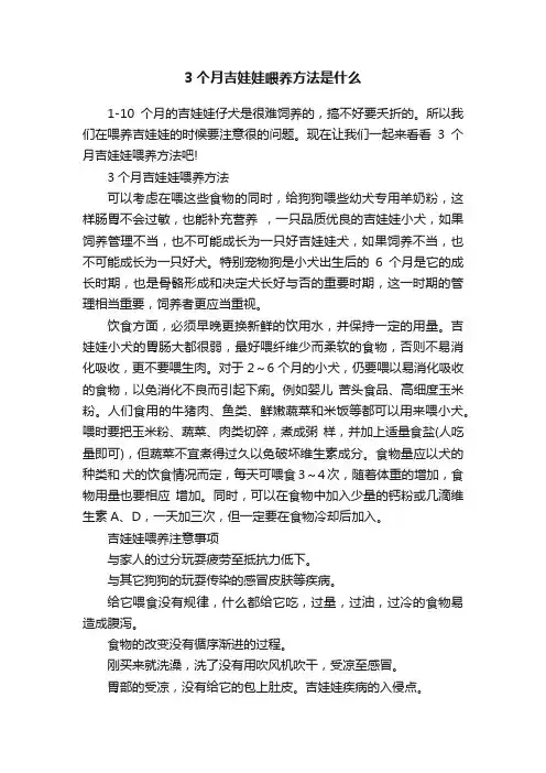 3个月吉娃娃喂养方法是什么