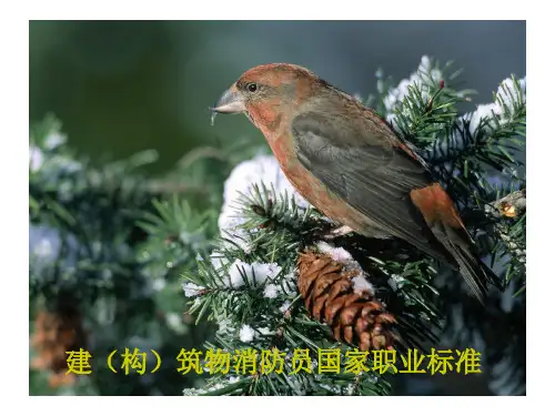 消防职业标准参考