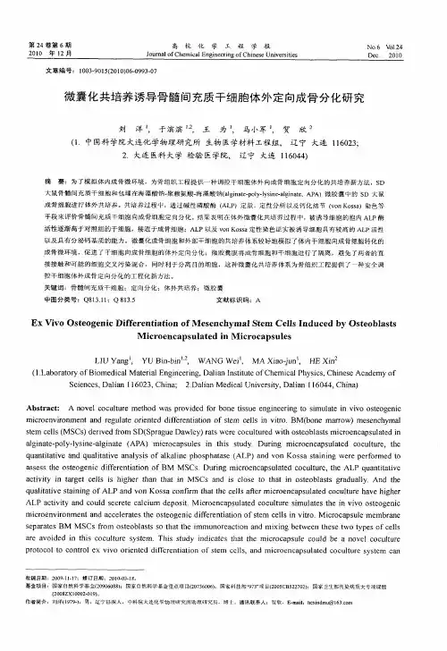 微囊化共培养诱导骨髓间充质干细胞体外定向成骨分化研究
