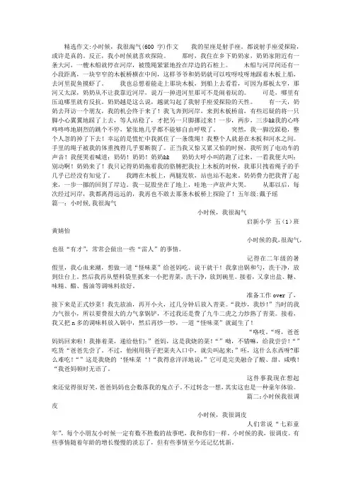 小时候,我很淘气(600字)作文