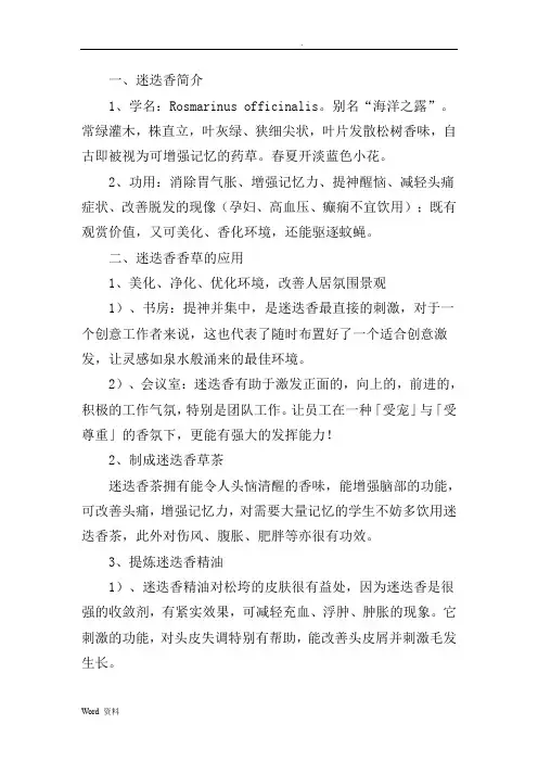 迷迭香功效及作用、方法