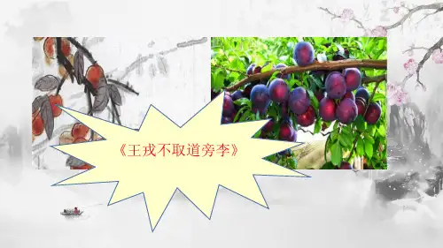 人教版(部编版)小学语文四年级下册第六单元第18课《文言文两则—囊萤夜读》PPT课件