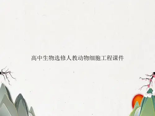 高中生物选修人教动物细胞工程课件