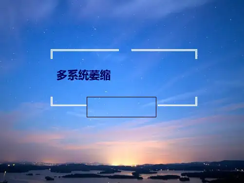 多系统萎缩MSA(共24张PPT)