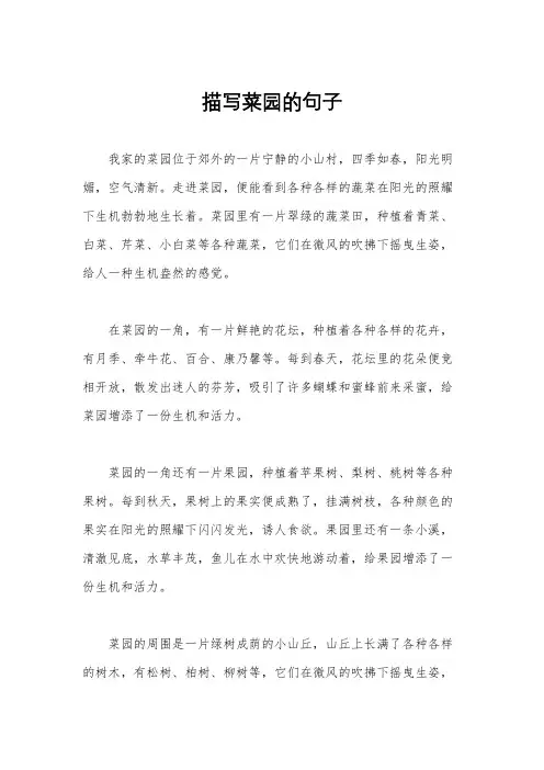 描写菜园的句子
