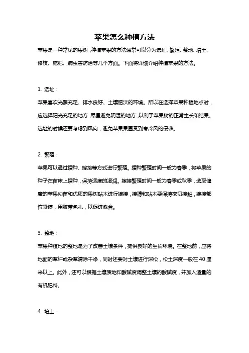 苹果怎么种植方法