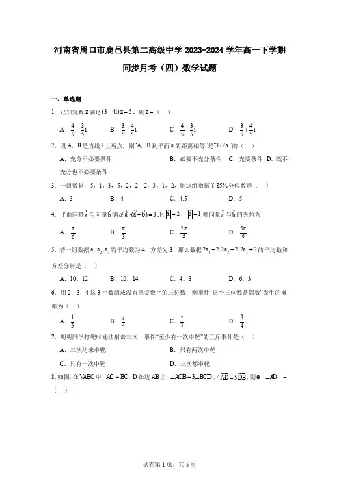 河南省周口市鹿邑县第二高级中学2023-2024学年高一下学期同步月考(四)数学试题
