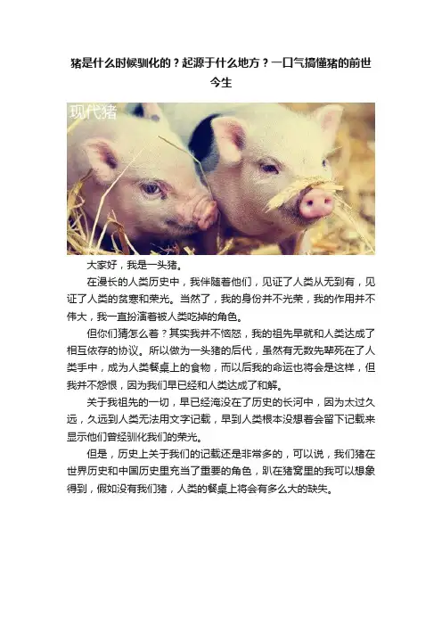 猪是什么时候驯化的？起源于什么地方？一口气搞懂猪的前世今生