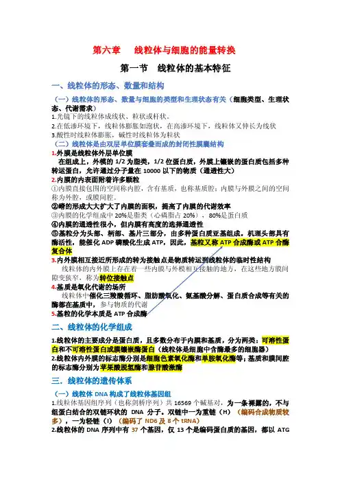 医学细胞生物学（中山大学）第六章线粒体与细胞的能量转换