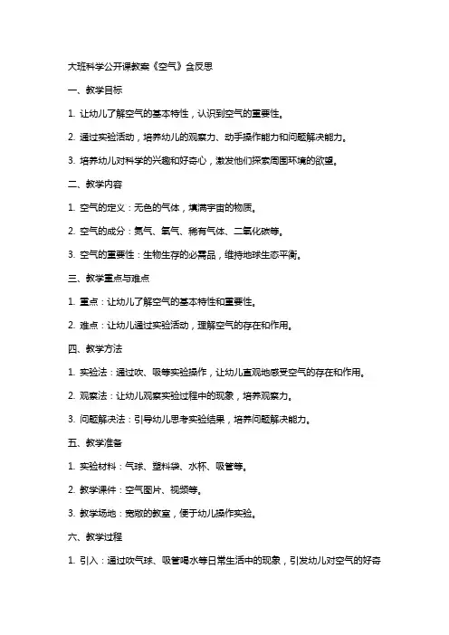 大班科学公开课教案《空气》含反思