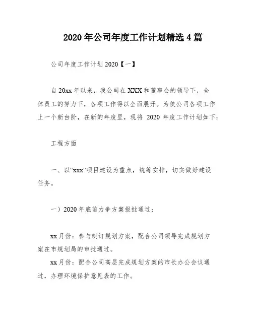 2020年公司年度工作计划精选4篇