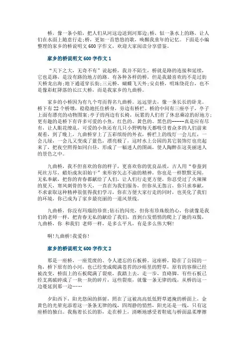 家乡的桥说明文600字作文