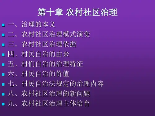 农村社区治理 PPT课件