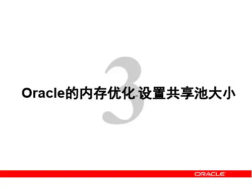 Oracle的内存优化