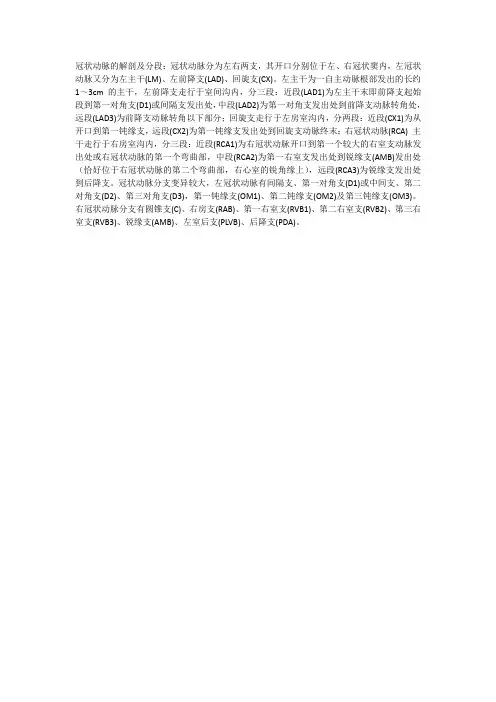 冠脉解剖