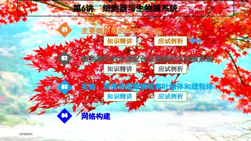 高考生物一轮复习第6讲细胞器与生物膜系统课件高三全册生物课件