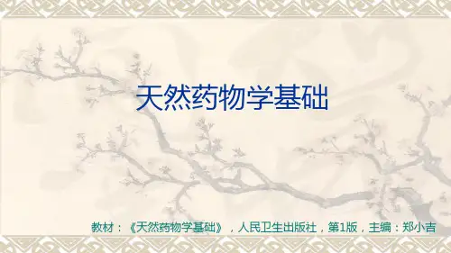 《冬虫夏草》课件