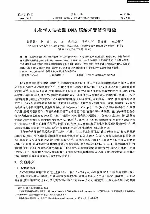 电化学方法检测DNA碳纳米管修饰电极