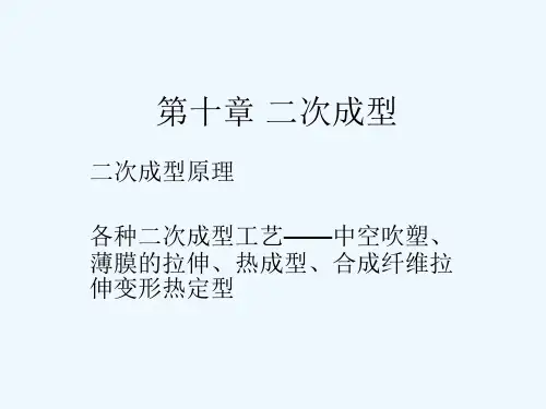 第十章二次成型