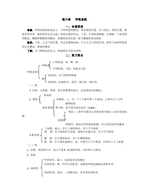 第六章呼吸系统
