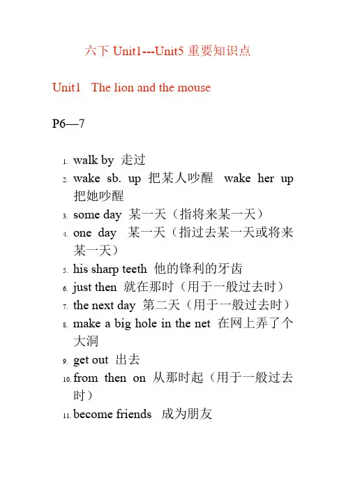 Unit1 --Unit5 重要知识点(素材)译林版(三起)英语六年级下册