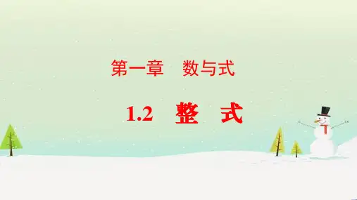 2020年九年级中考数学总复习：第1章数与式 1.2整式 课件%28共30张PPT%29