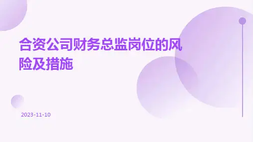 合资公司财务总监岗位的风险及措施