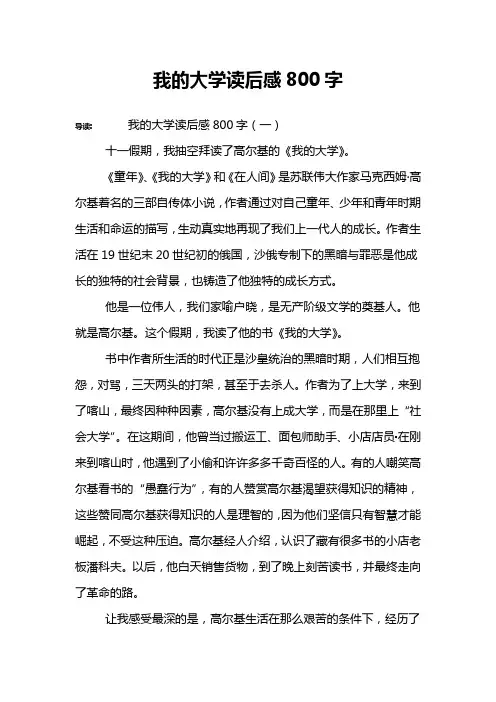 我的大学读后感800字