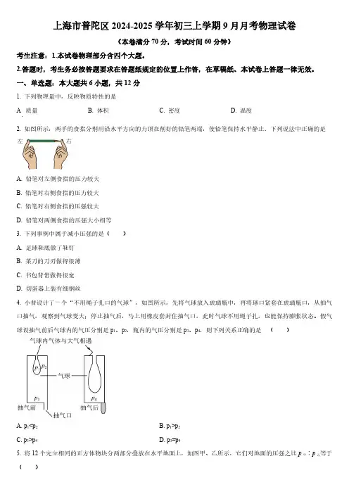 2024-2025学年上海市普陀区九年级上学期10月月考物理试卷含详解