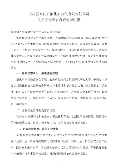 自查报告 2