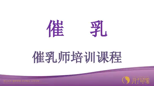催乳师培训课件