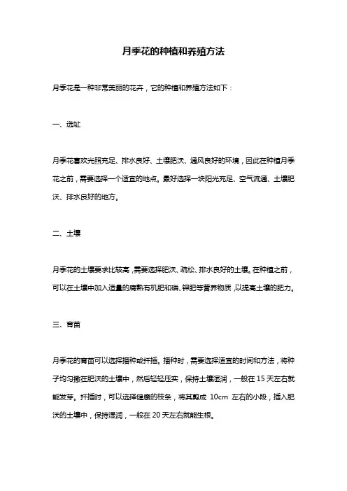 月季花的种植和养殖方法