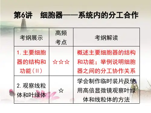细胞器——系统内的分工合作-全知识点-PPT