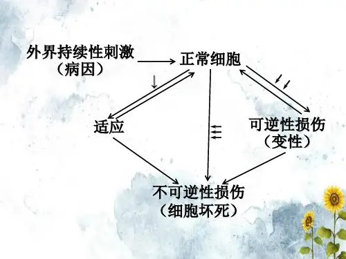 组织细胞的损伤与修复上课文档ppt