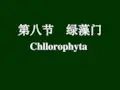藻类及生活史PPT课件
