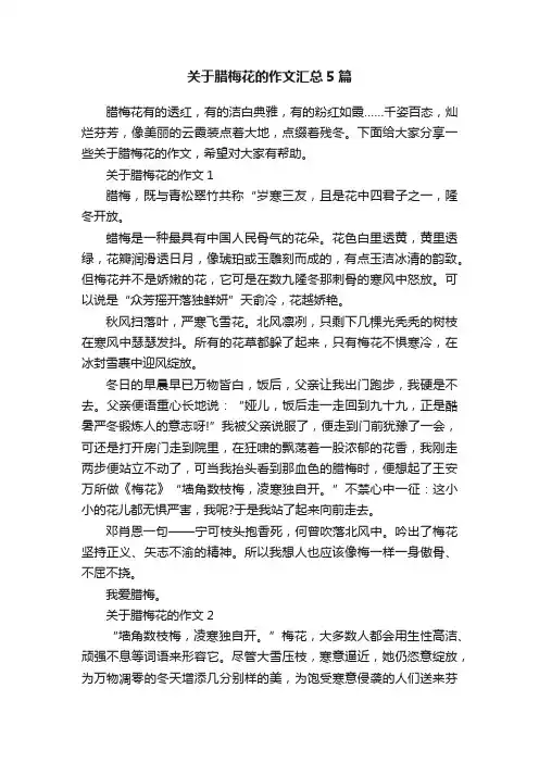关于腊梅花的作文汇总5篇