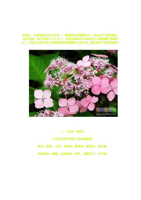 常见的美艳毒花毒草