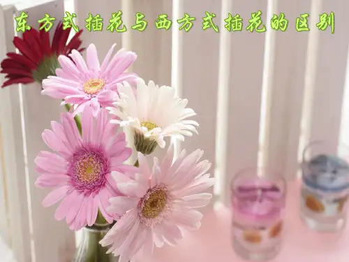 东方式插花与西方式插花的区别ppt文档