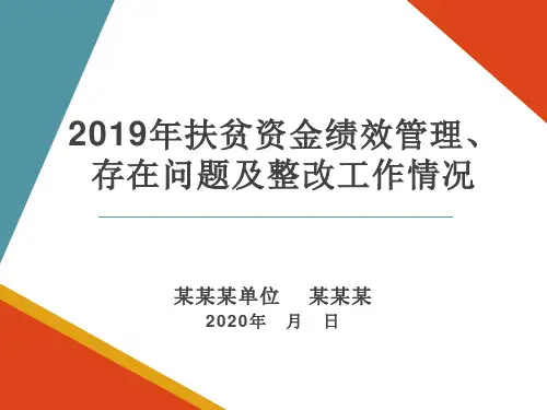 财政扶贫资金绩效管理、存在问题及整改工作