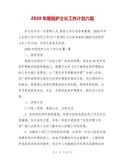2020年医院护士长工作计划六篇