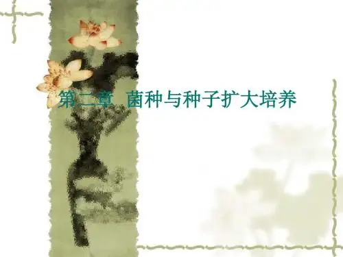 二章节菌种与种子扩大培养精品资料